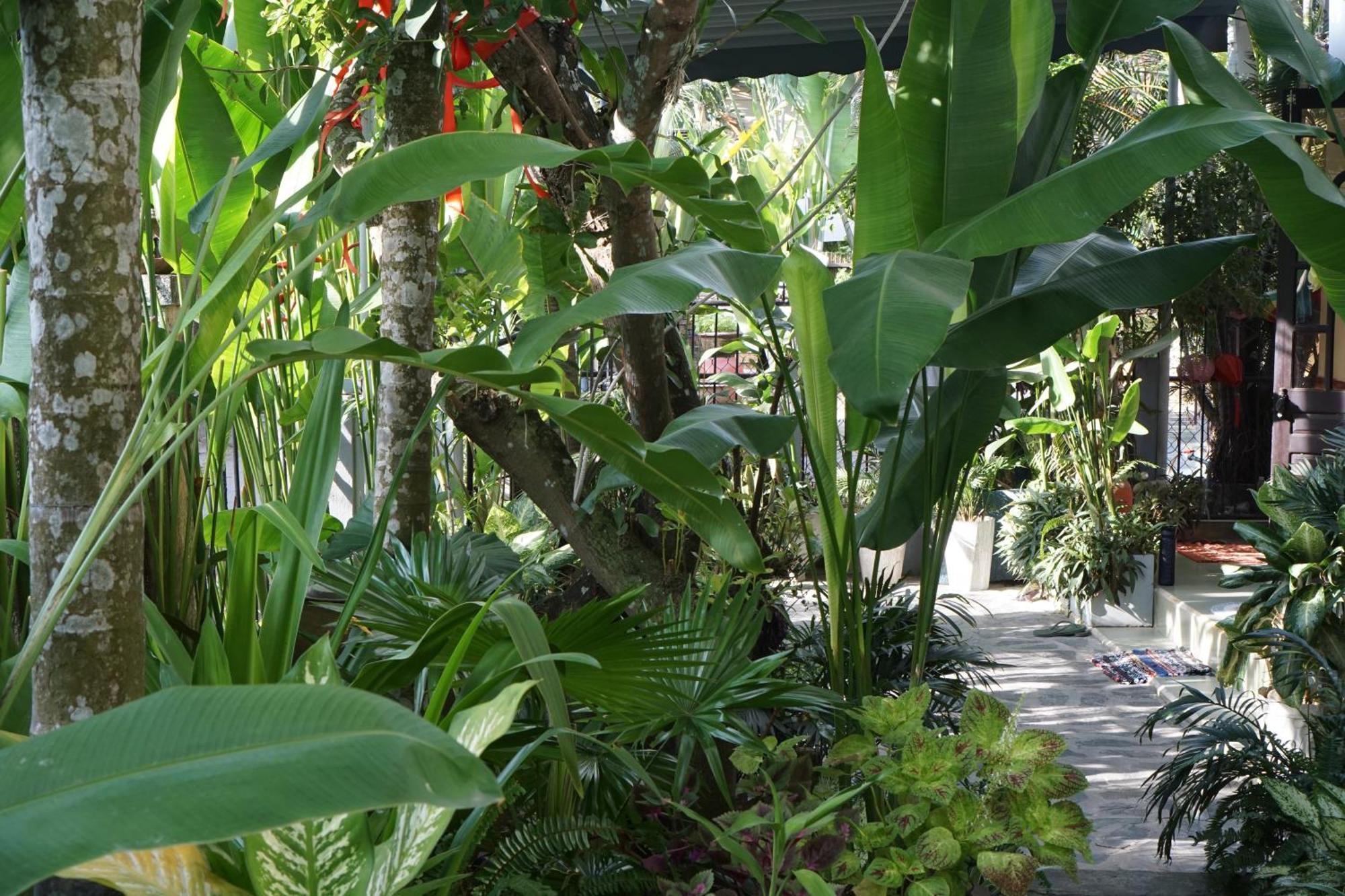 Hoi An Sunny Garden Lägenhet Exteriör bild