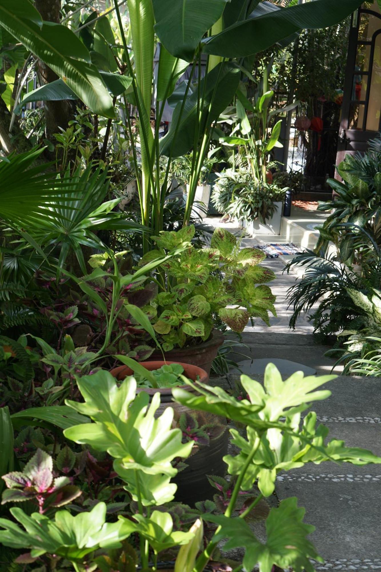 Hoi An Sunny Garden Lägenhet Exteriör bild