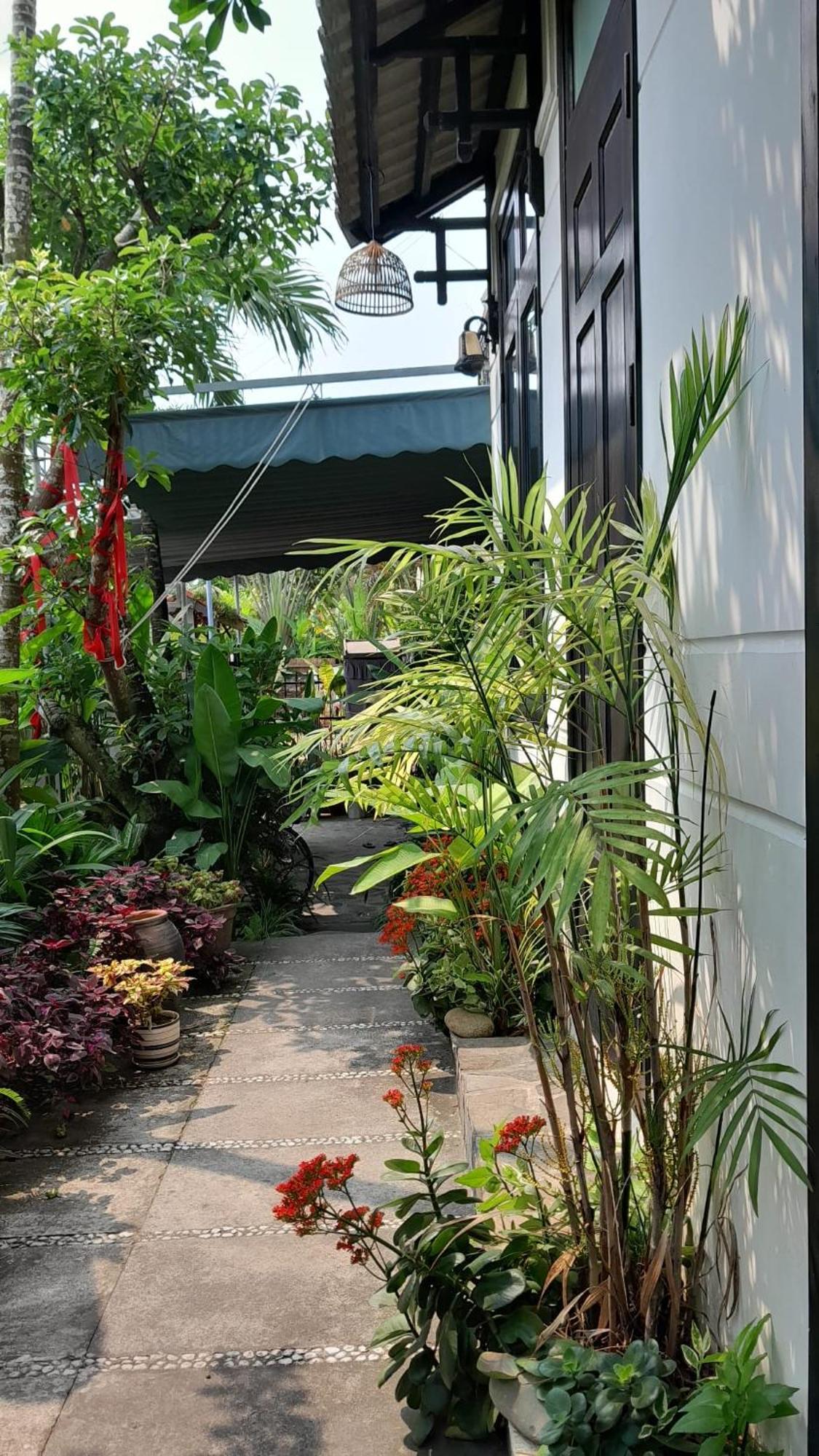 Hoi An Sunny Garden Lägenhet Exteriör bild